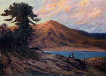 Pines on Lake Alumine